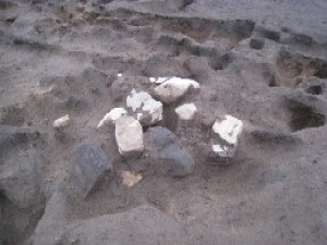 IMG_2117.jpg