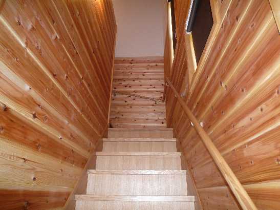 P5.JPG